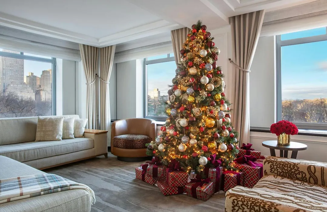 The Ritz-Carlton New York, Central Park-1